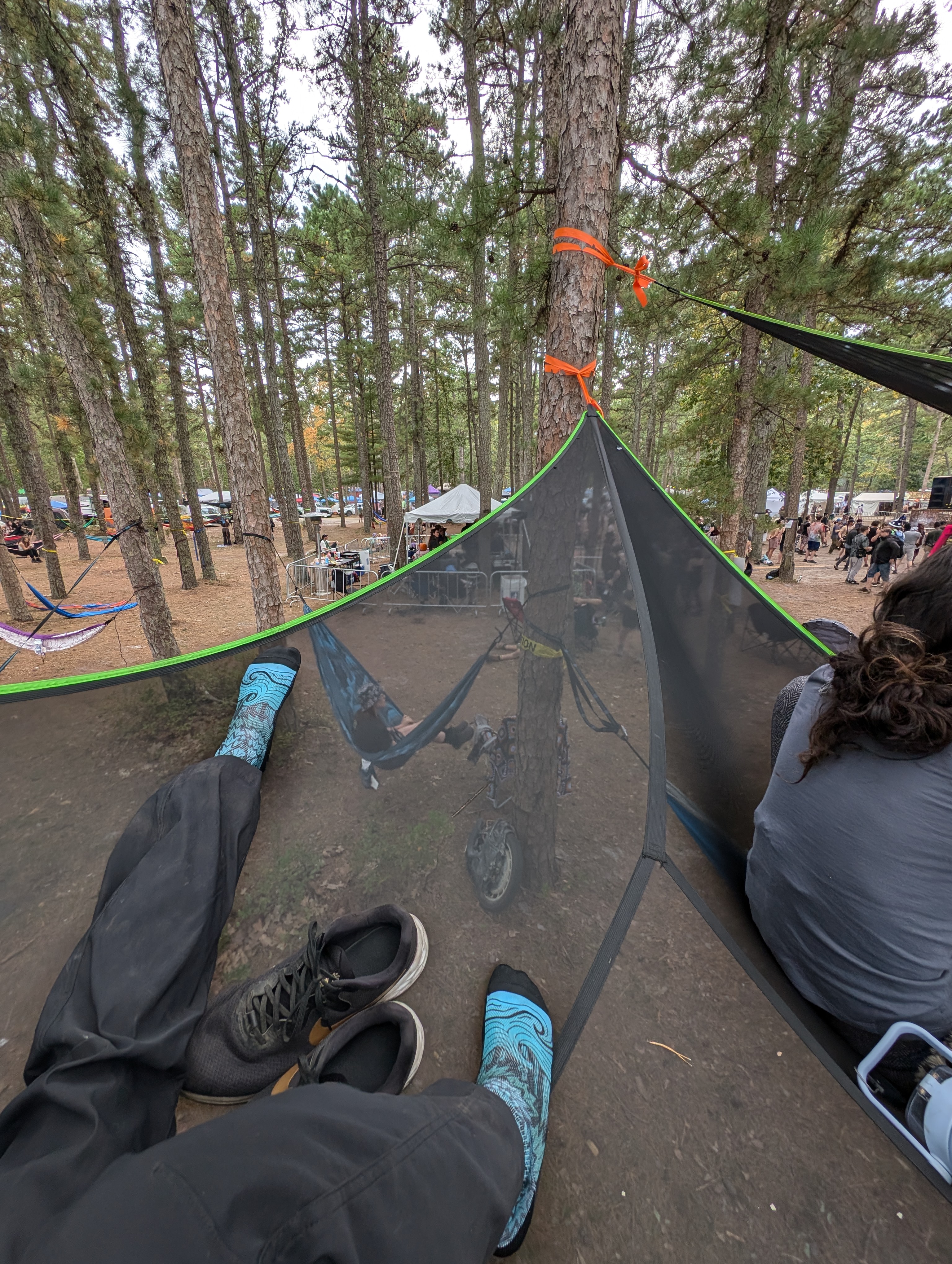 Festival hammock lounge in the trees