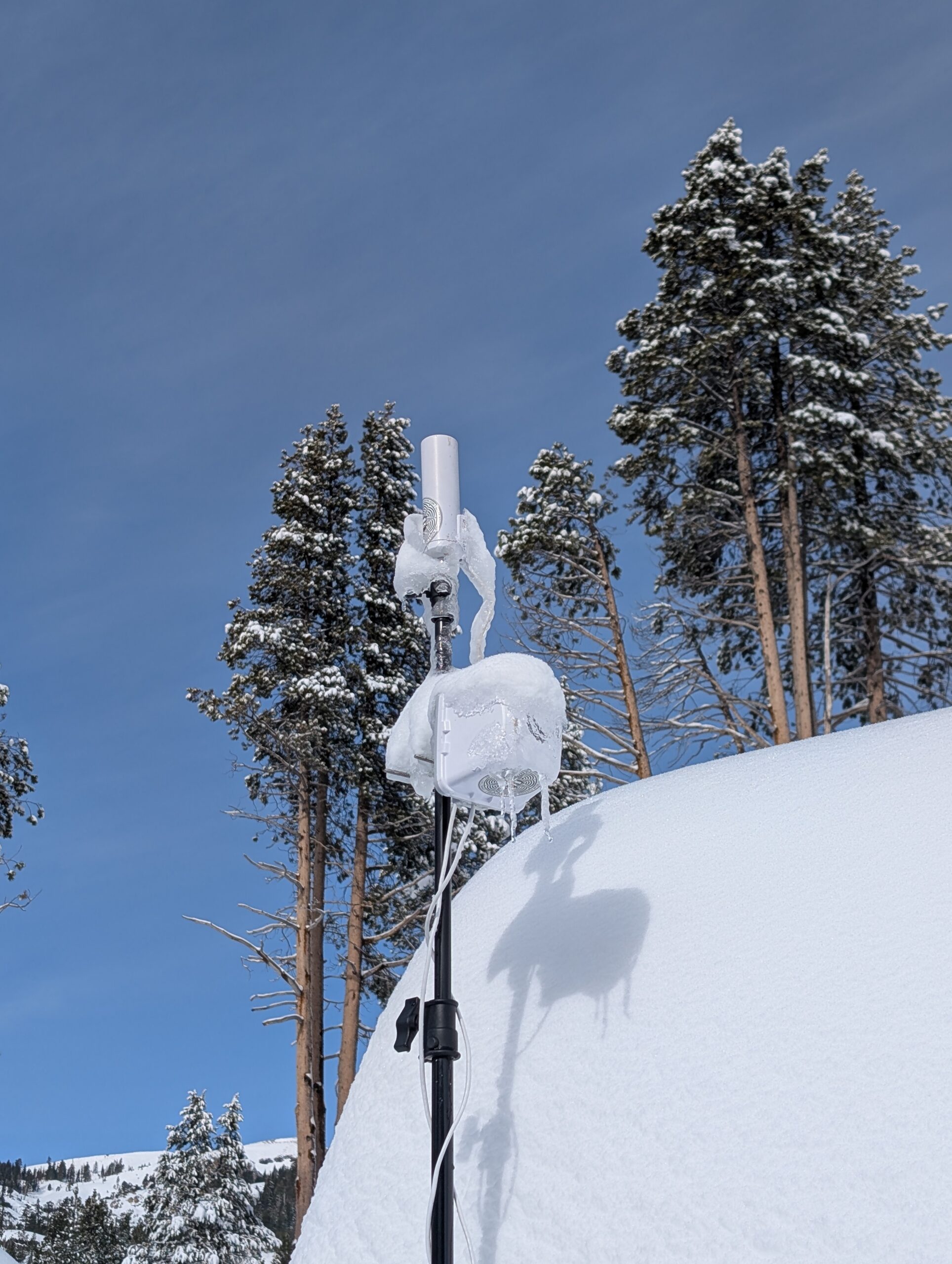 Ice-covered wireless antenna and access point on a pole above deep snow in a pine forest